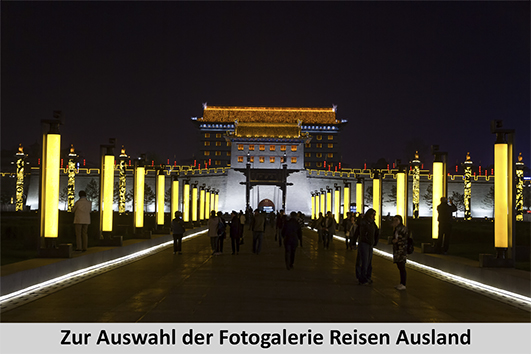 Link_zu_Reisen_Ausland