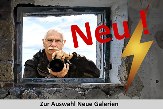 Link_zu_den neuen Fotogalerien
